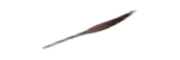 Semínkový atlas
